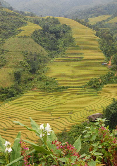 Du lich Sapa